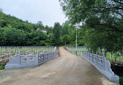 南漳：村里旧桥焕新颜 共商共建护安全
