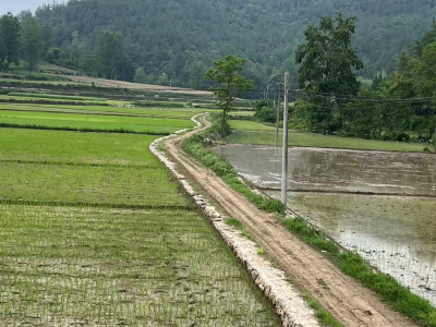 南漳：“小屋场”凝聚乡村建设“大能量”