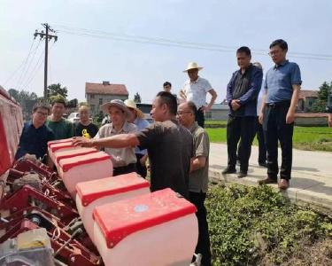 国家农业专家组到我县指导大豆玉米带状复合种植工作