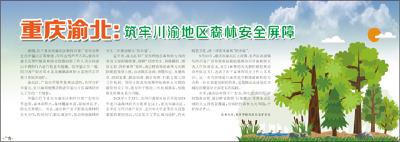【热点关注】重庆渝北：筑牢川渝地区森林安全屏障