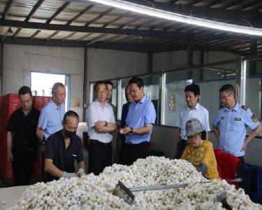 省纤维检验局调研组到我县调研