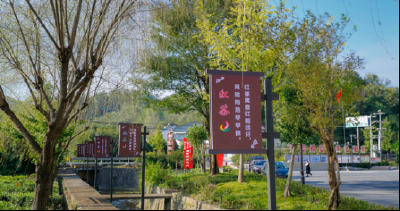 南漳：点墨清廉村居之笔 绘就基层治理“廉画卷”