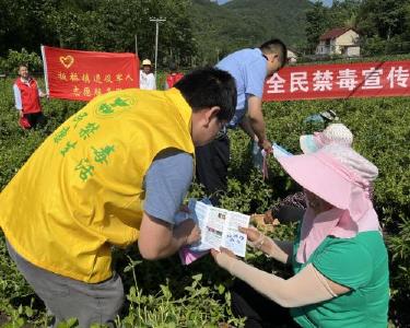 板桥镇开展全民禁毒进万家活动