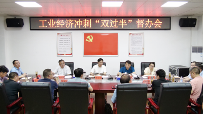 罗兴斌调研工业经济运行工作时强调：加压奋进迎头赶超，全力冲刺“双过半”