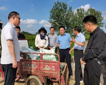 县领导调研水稻侧深施肥工作