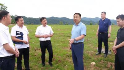 陈栋：以最坚决的态度、最扎实的举措抓好矿山生态修复治理工作 