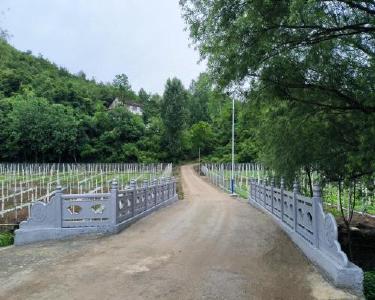 观音堂村：旧栏焕新颜　共建护安全