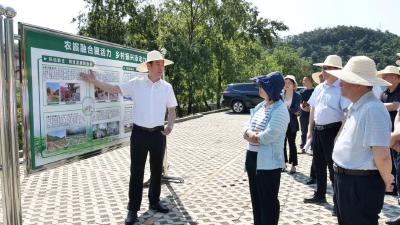 罗兴斌在李庙镇调研时强调：始终坚持群众主体地位，构建干部群众一起干的社会治理共同体
