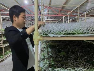 南漳：助力村民养蚕致富