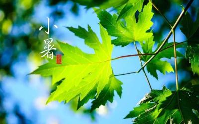二十四节气之小暑 