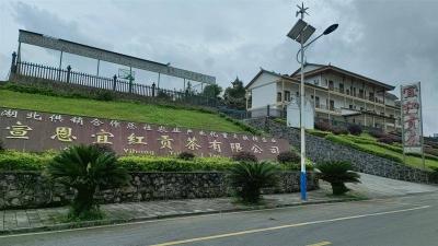 【热点关注】湖北省茶业集团7月外贸订单同比增222%