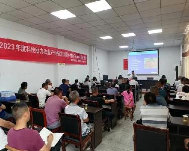 巡检镇：柑橘管护忙  专家来护航