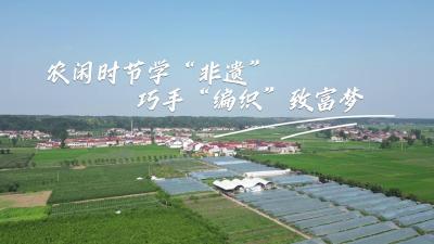湖北南漳：农闲时节学“非遗” 巧手“编织”致富梦