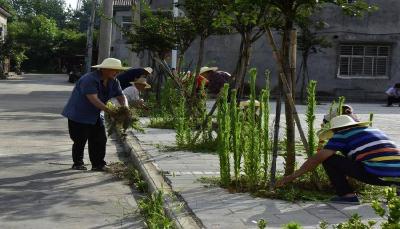 南漳：共同缔造聚人心 义务劳动感党恩