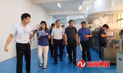 市经信局调研组到我县指导重点项目建设等工作 