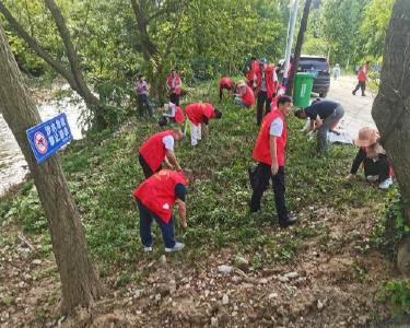 县农技中心：洪灾无情我有情　党员先锋在行动