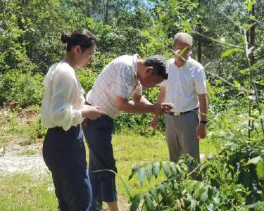 长坪镇专项资金监管通过“体检”