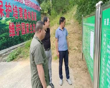 我县2022年度天然林保护修复工作顺利通过省级复查