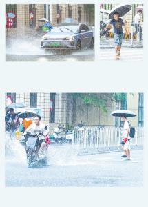 【热点关注】江城夏日雨来急 今明仍需防范强降水