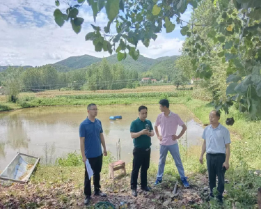 肖堰镇：凝聚五股力量　守牢耕地红线