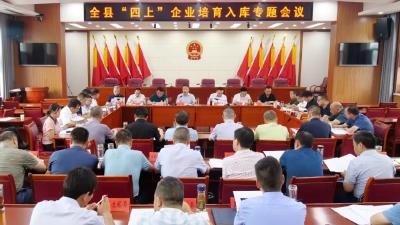 陈栋：出实招用真功见实效，不断推动“四上”企业增总量提质量 