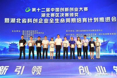  【热点关注】第十二届中国创新创业大赛湖北赛区决赛结果揭晓 