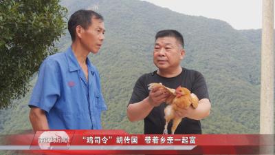 南漳新闻丨“鸡司令”胡传国   带着乡亲一起富