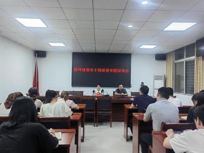 薛坪镇开展年轻干部保密教育培训