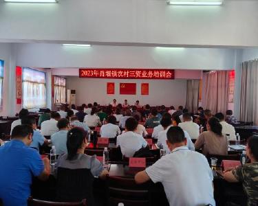 肖堰镇开展农村“三资”业务培训