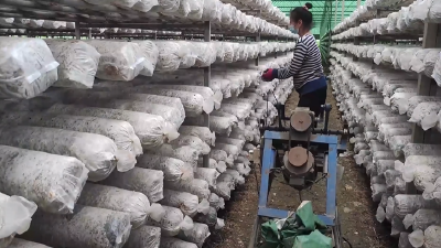 襄阳南漳：合作社升级联合社，抱团发展奔富路