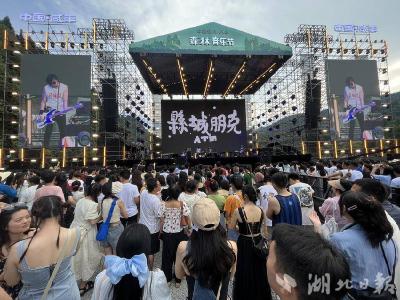 【热点关注】燃爆周末！中国恩施·咸丰森林音乐节激情开唱