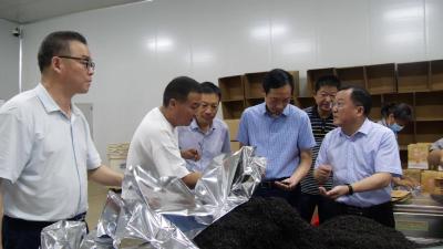 市农业农村局领导到我县调研农业产业化龙头企业发展情况  