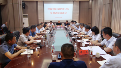 陈栋会见中国银行湖北省分行副行长杨健，洽谈进一步深化政银企合作事宜 