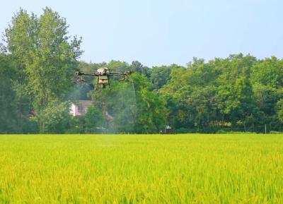  【热点关注】“空中医生”为东宝23万亩水稻保驾护航