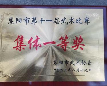 市形意拳南漳代表队在全市第十一届武术比赛中获佳绩