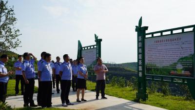 县市场监管局：以茶思廉扬清风　品茶悟廉促实干