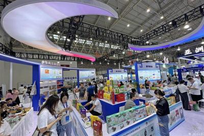  【热点关注】第八届武汉国际电子产业博览会开幕