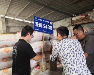 县公检中心：强化粮食质量监测    筑牢粮食安全防线