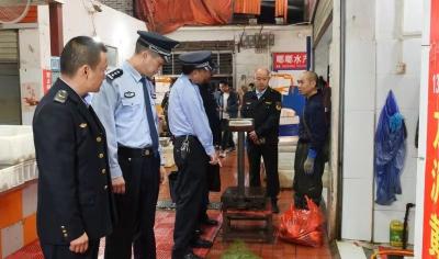 多部门联合开展节前野生动物市场清查行动 
