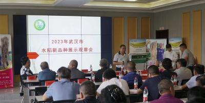 【热点关注】2023年武汉市水稻新品种展示现场观摩会在车谷举行