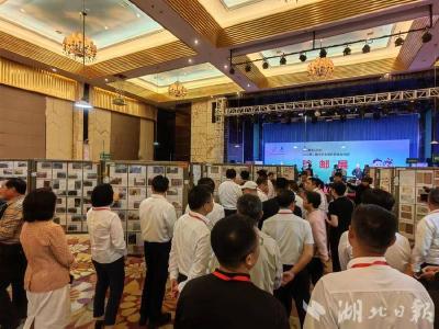 【热点关注】第二届中华全国农民集邮展览在应城拉开帷幕