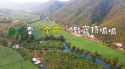 湖北南漳：吊瓜变“金瓜” 致富顶呱呱