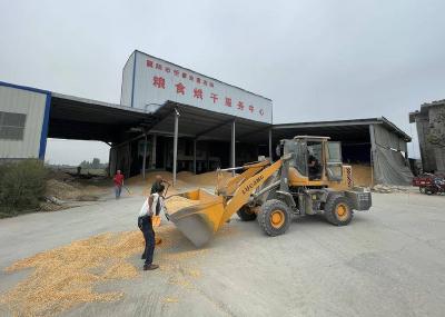 【热点关注】樊城区组织水稻玉米抢收
