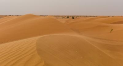 研究认为沙漠等旱区具有碳汇潜力