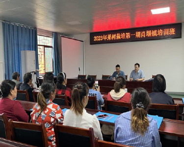 肖堰镇工会组织开展职工就业创业技能培训