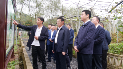 赵芝斌到南漳调研时强调：把主题教育和乡村振兴、绿色发展有机结合，不断拓宽农民增收致富渠道