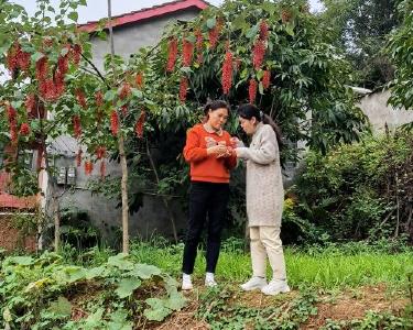 县林业局“农技服务轻骑兵”开展帮扶活动