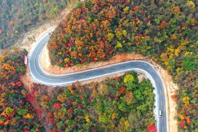 湖北南漳：一路风景醉深秋