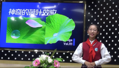 我县学生荣获全省“青少年十佳科普使者”称号