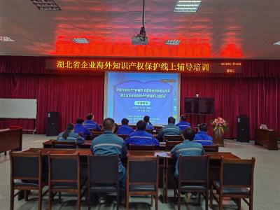 县市场监管局组织开展跨境企业海外知识产权保护辅导培训